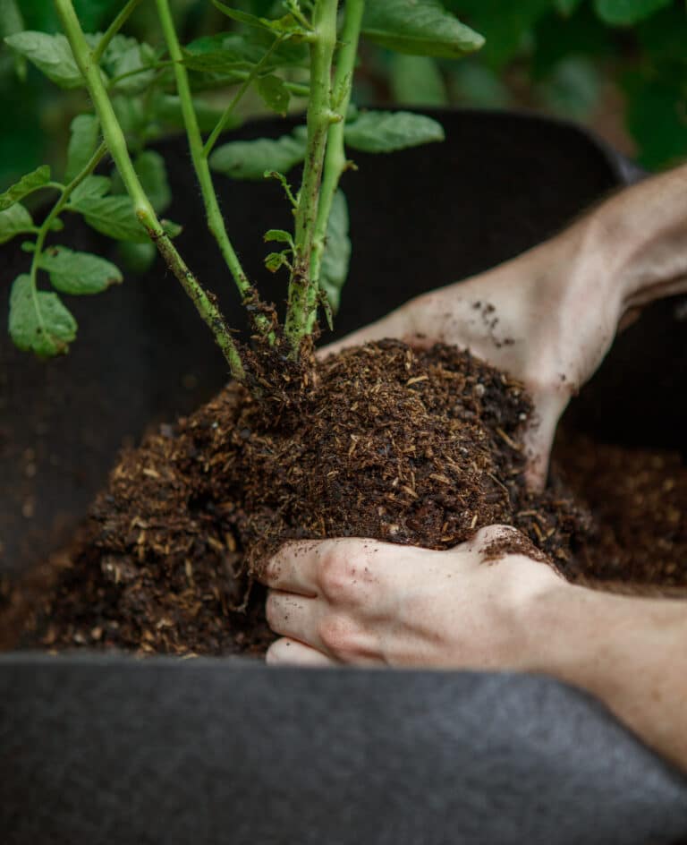 Pay Dirt: Five Tips for Cashing in on the Perfect Potting Mix