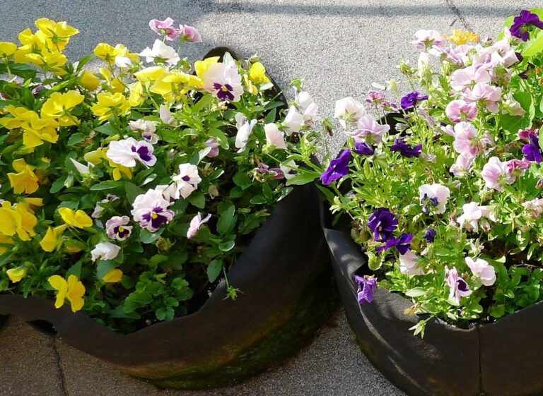 Spring Flowers for Containers