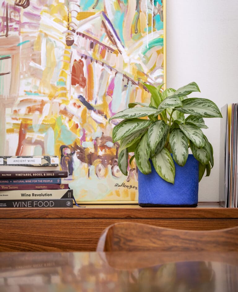 How to Care for Houseplants in Smart Pots by Jodi Torpey