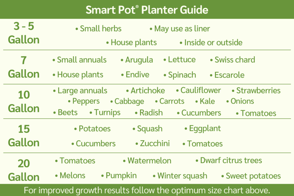 The Smart Pot® Fabric Planter