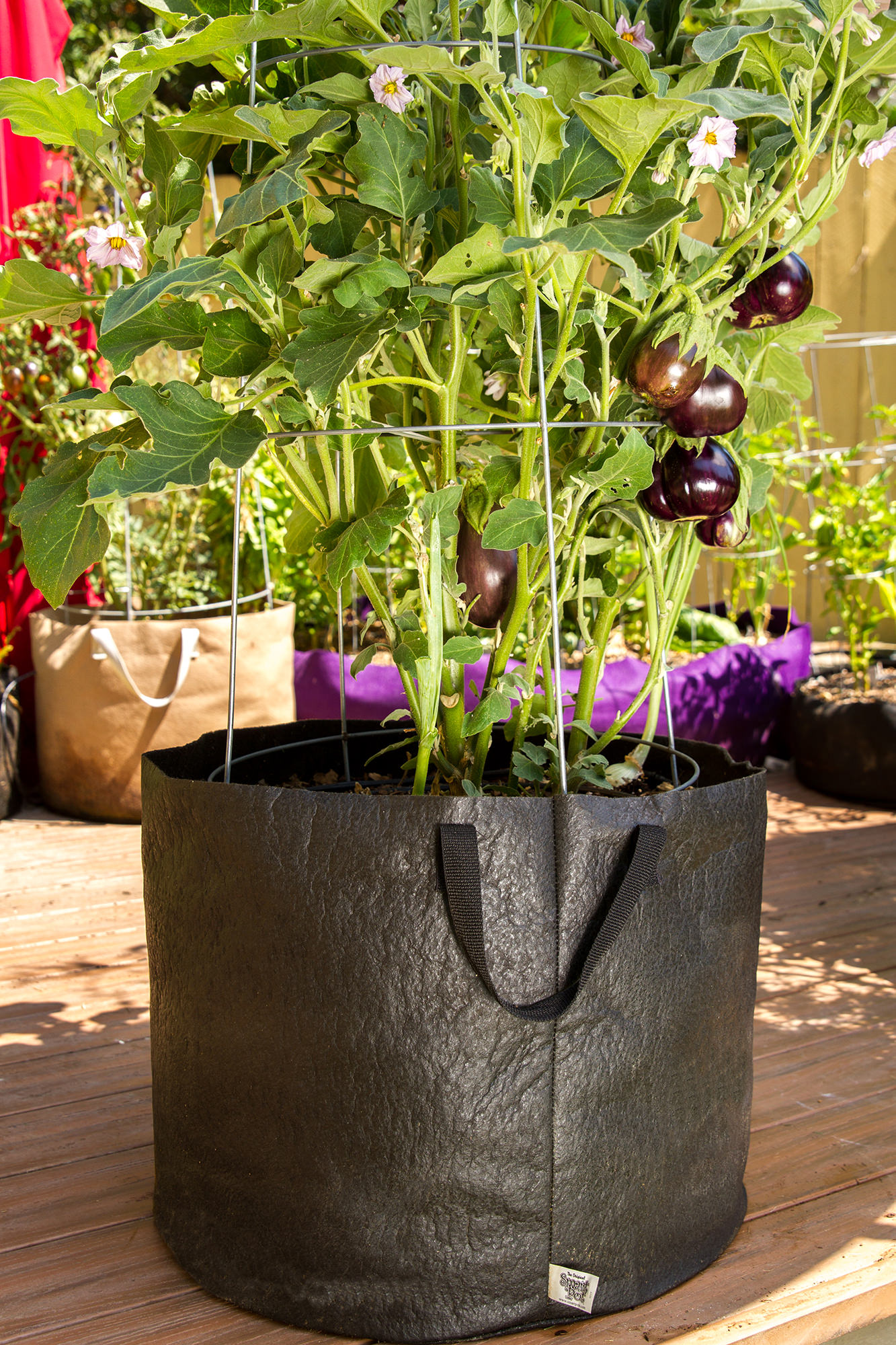 22 Litre Root Pouch X 10 fabric plant pot 22L Smart Pots Grow Bags Tomato Pots 