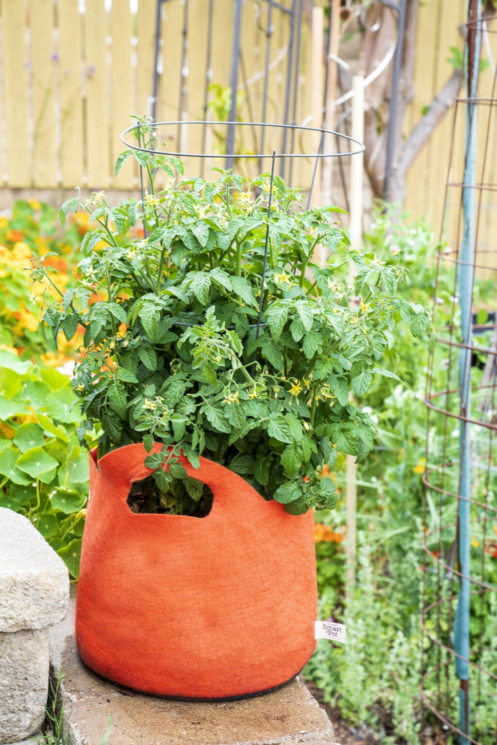 The Smart Pot® Fabric Planter