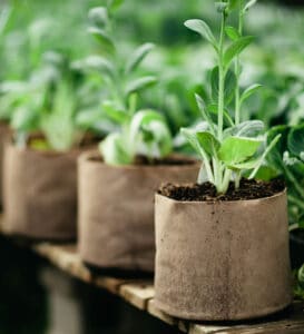 The Smart Pot® Fabric Planter