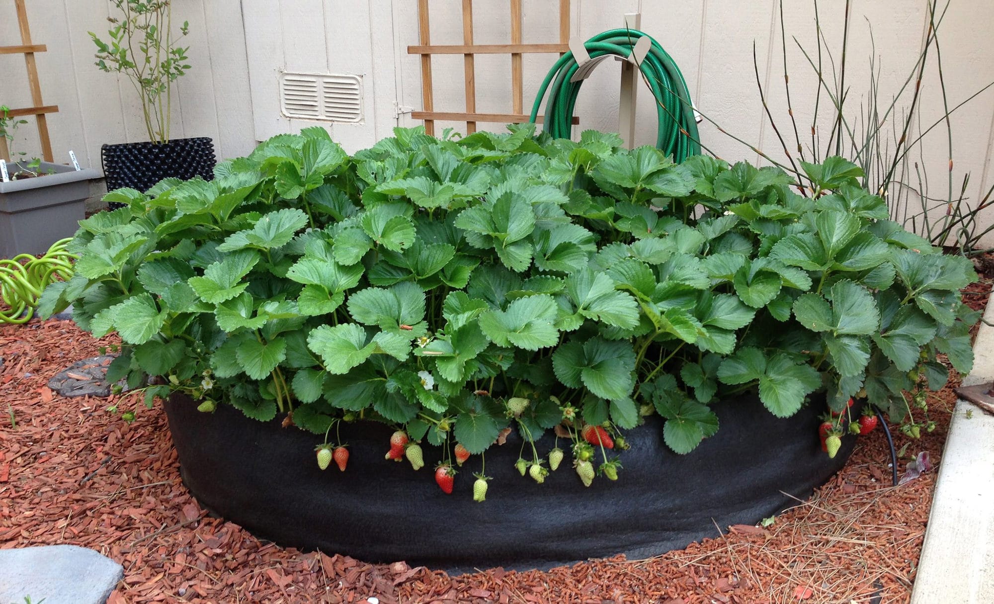 Smart Pot Big Bag Bed - Boutique du jardin