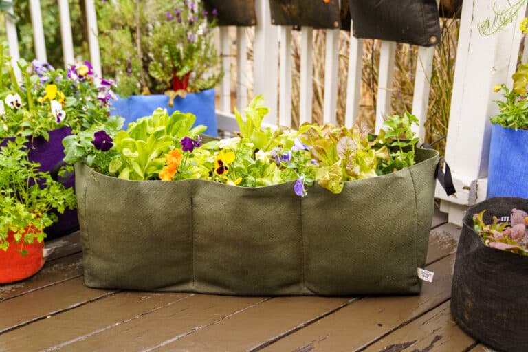 Smart Pot Lil’ Shorty Raised Bed Planter: The Perfect Solution for Urban Gardeners