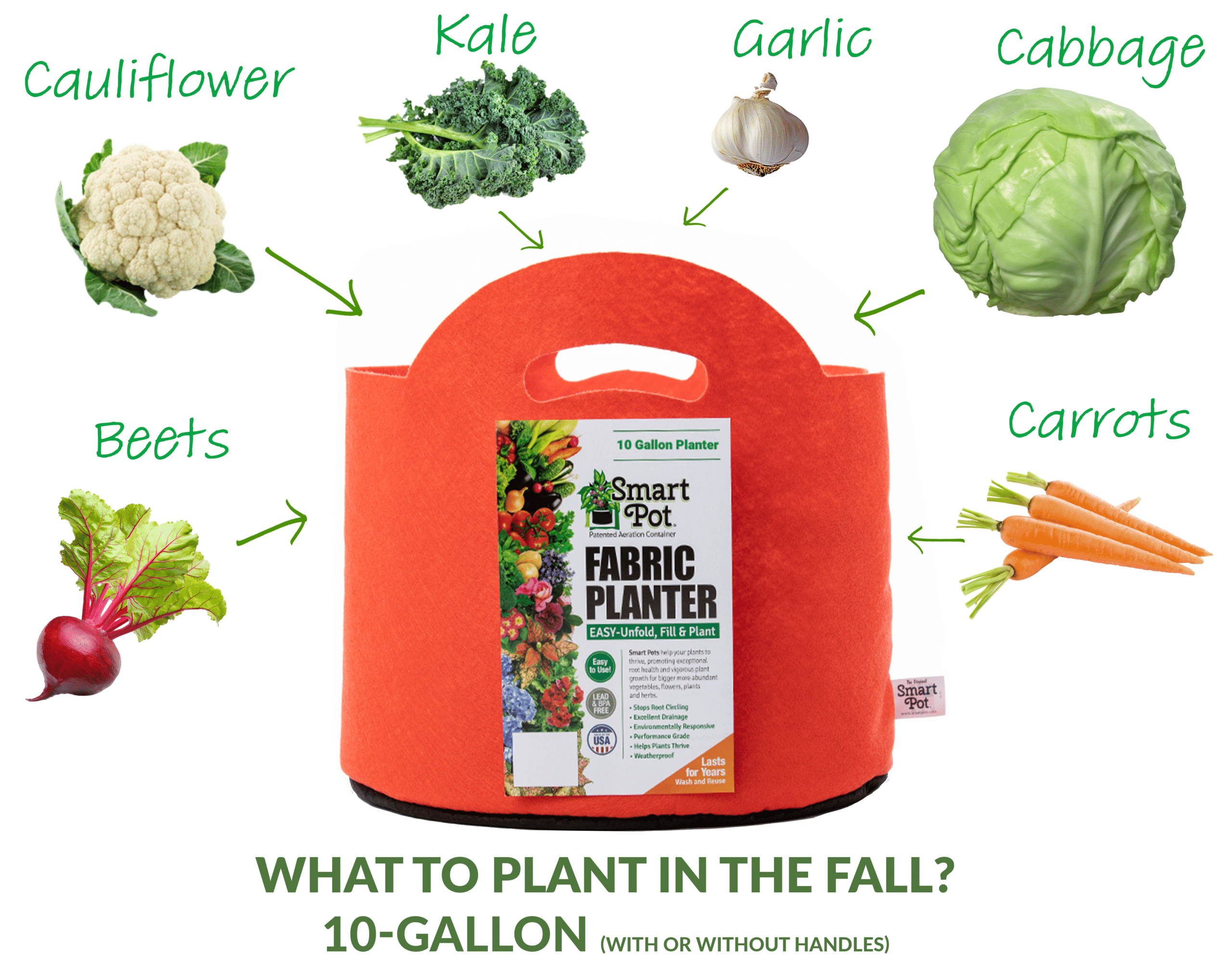What to plant in a 10-gallon Smart Pot in Fall