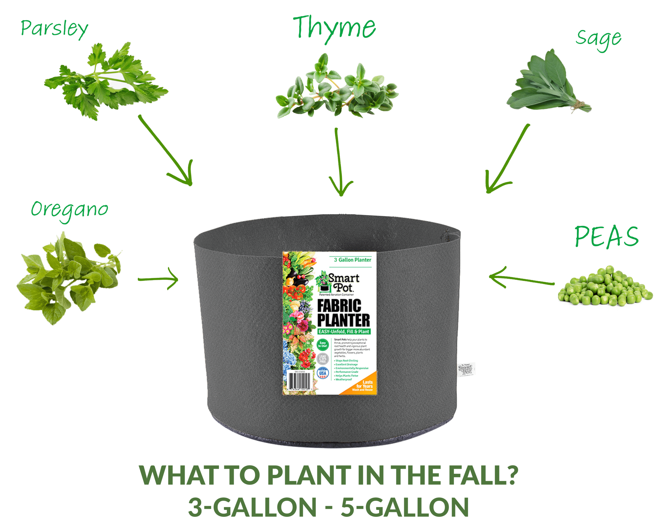 What to plant in 3 - 5 gallon Smart Pots in Fall