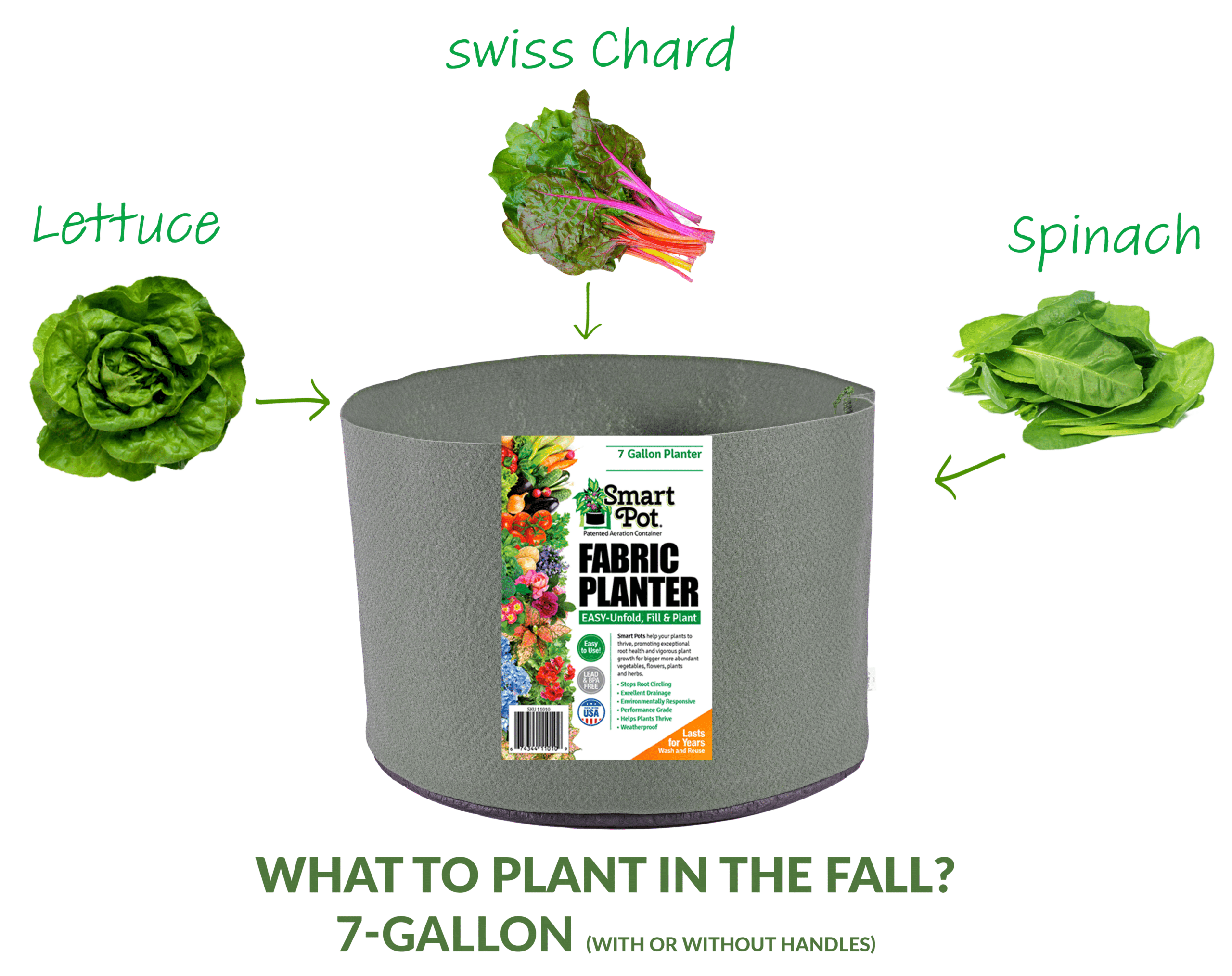 What to plant in a 7-gallon Smart Pot in Fall