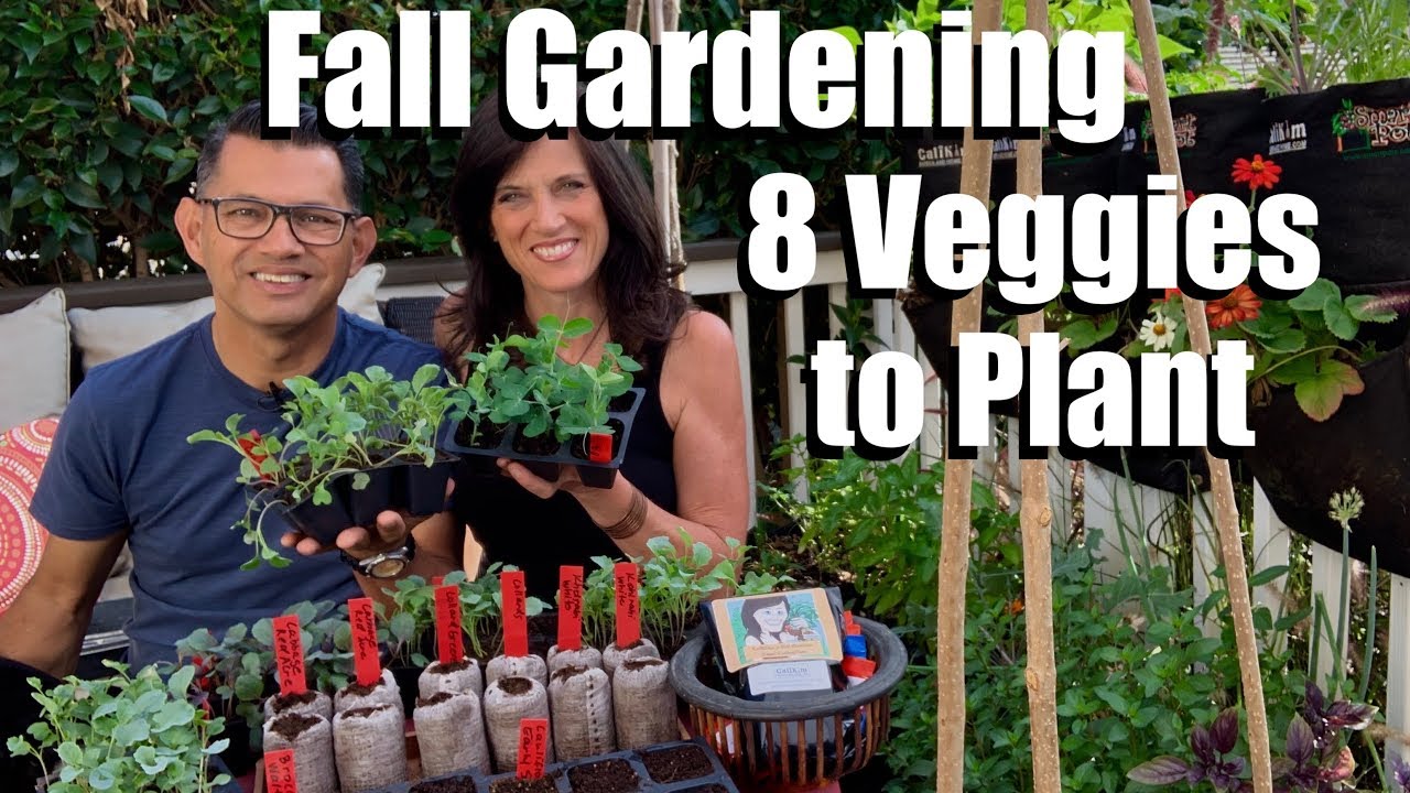 How to Start a Fall Vegetable Garden thumbnail